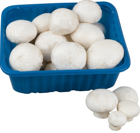 Pieczarka Tacka 500G